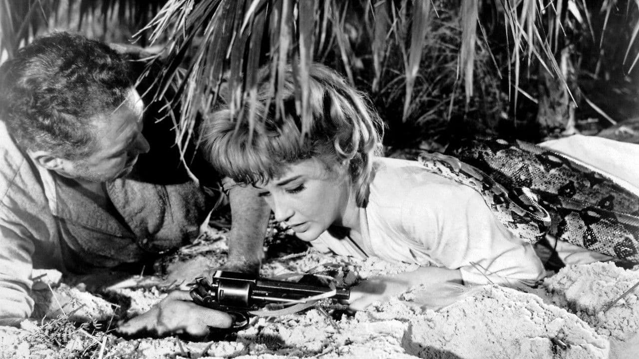 Backdrop – East of Sudan