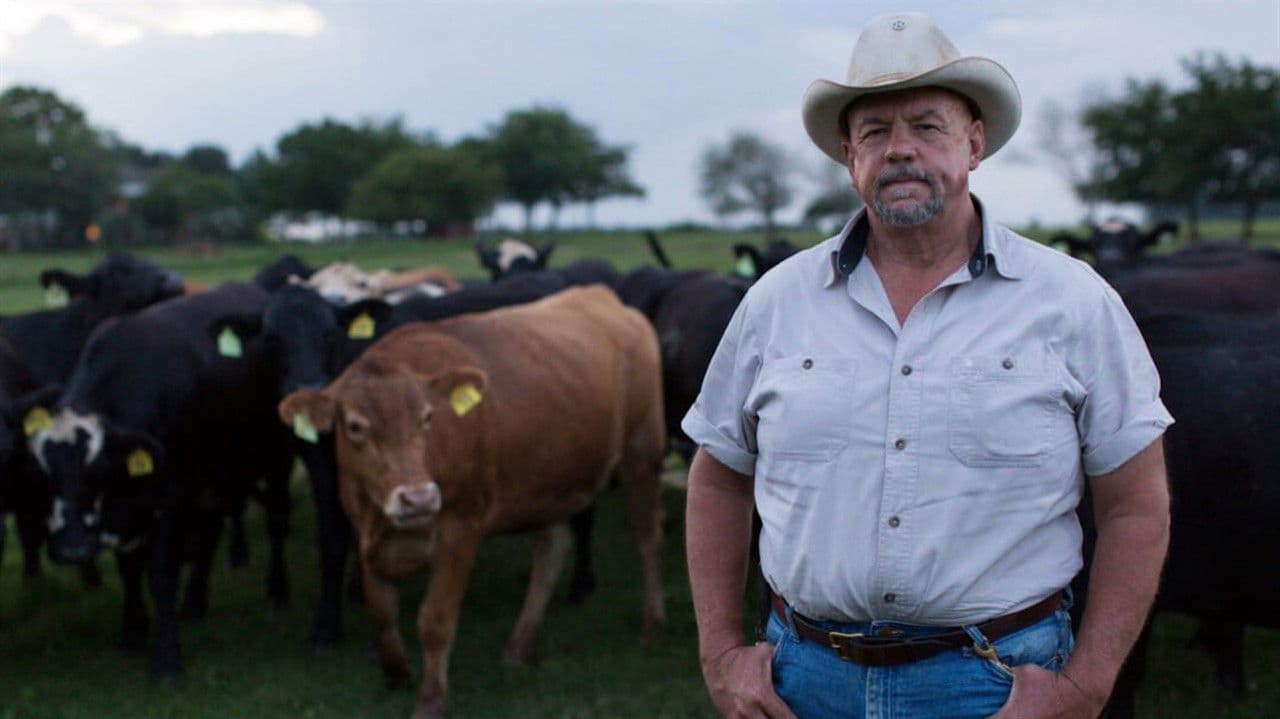 Backdrop – Food and Country