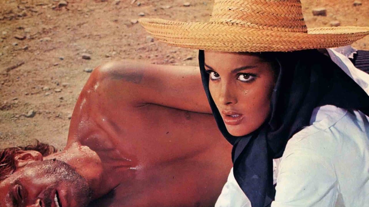 Backdrop – Die 7 Pistolen des McGregor