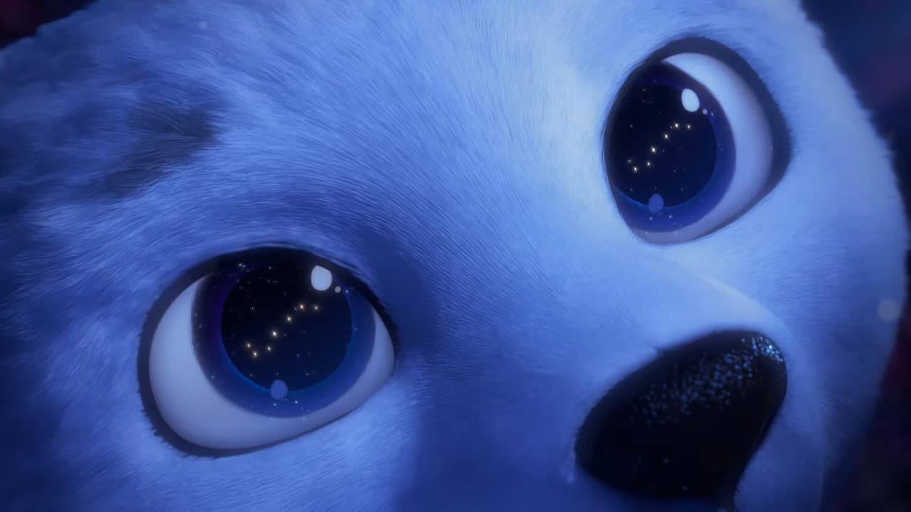 Backdrop – Polaire