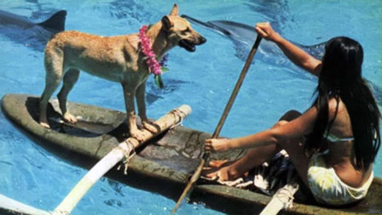 Backdrop – Fratello mare