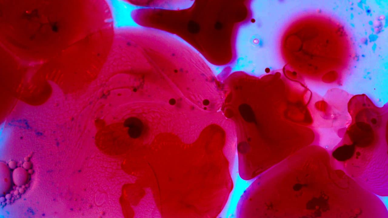 Backdrop – Meu Céu E O Seu Inferno