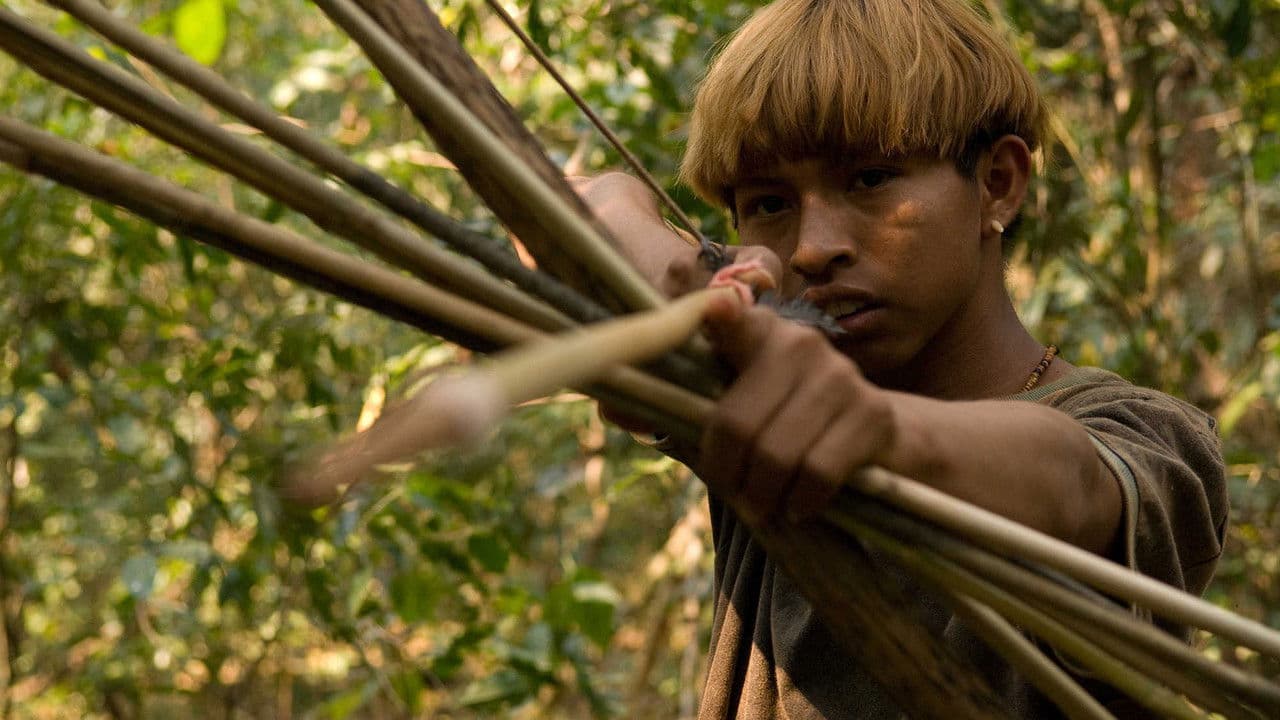 Backdrop – Birdwatchers