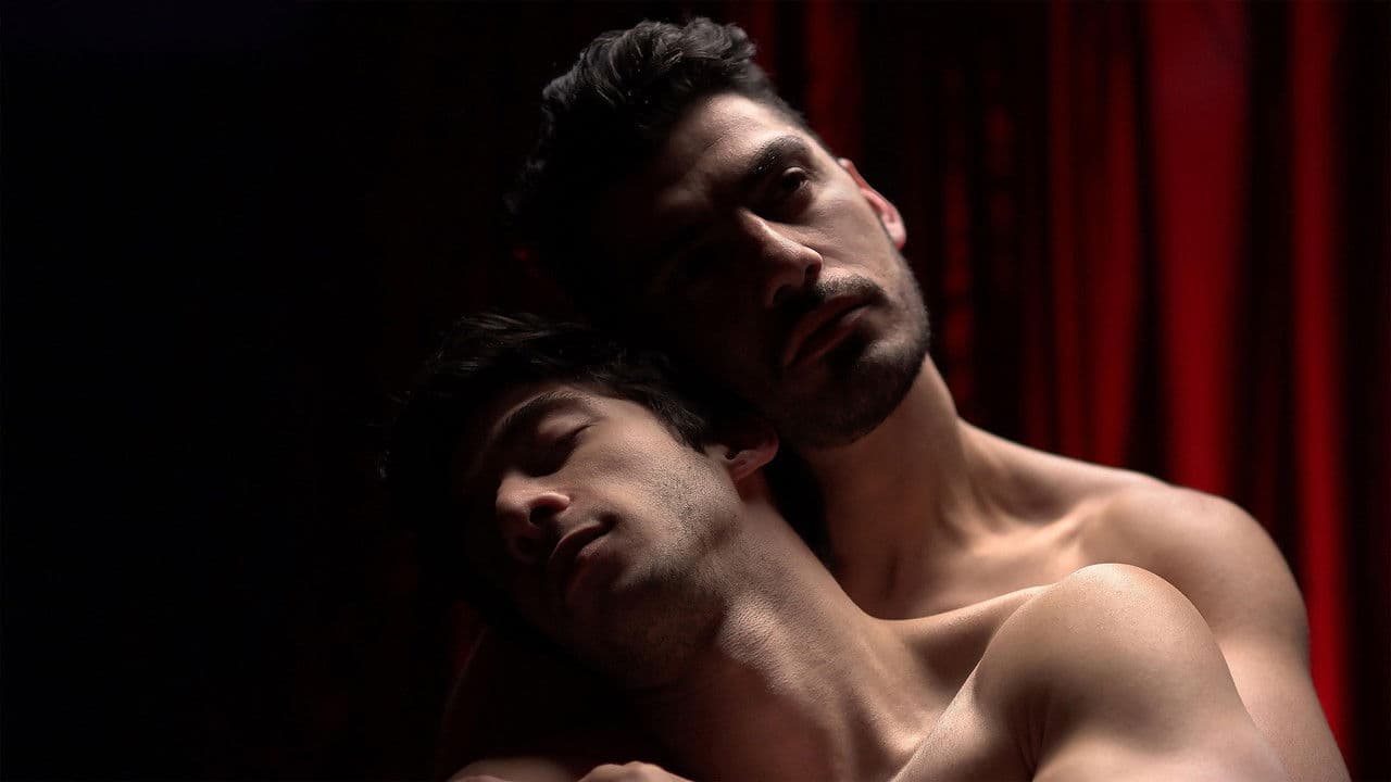 Backdrop – Serviced