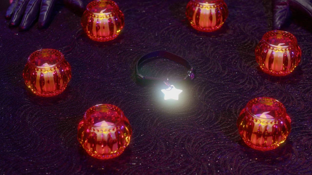 Backdrop – Captain Pickles