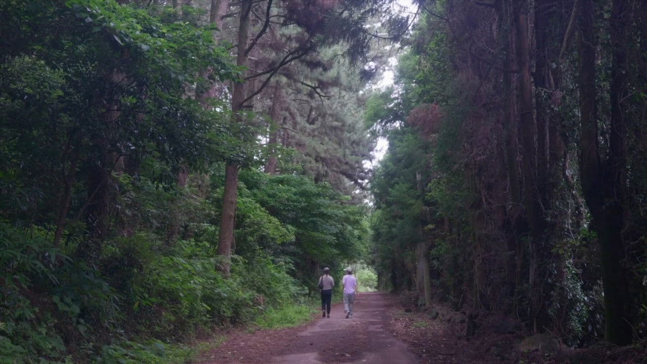 Backdrop – 제주의 시간