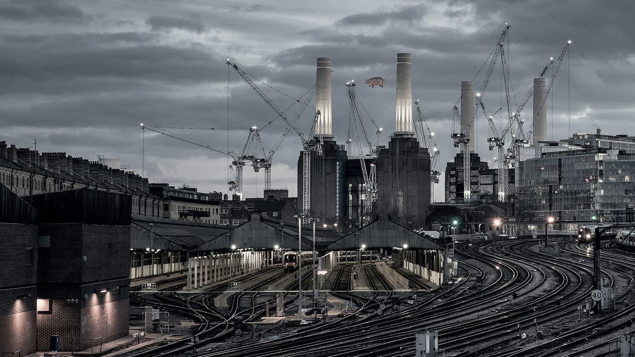 Backdrop – Pink Floyd: Animals (2018 Remix)