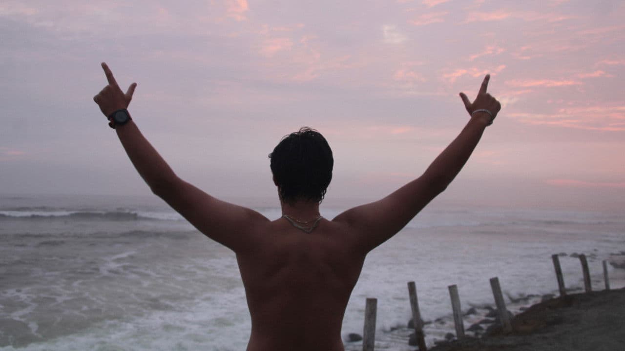 Backdrop – FEELING EVERY SUNSET