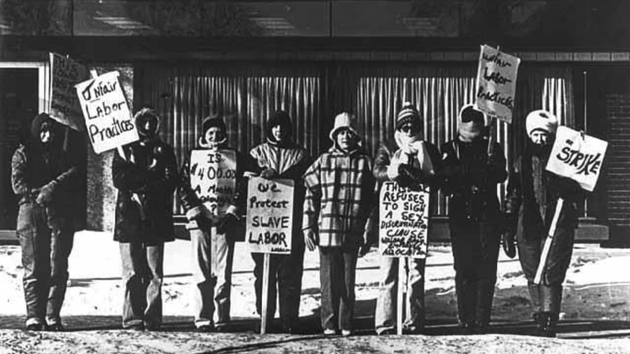 Backdrop – The Willmar 8