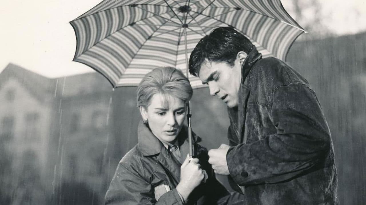 Backdrop – Martin u oblacima