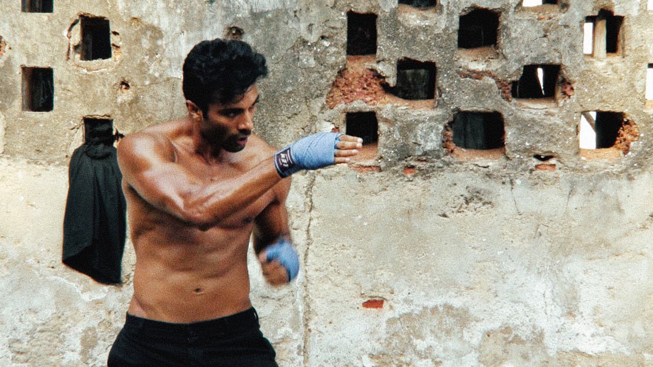 Backdrop – Karma Cartel