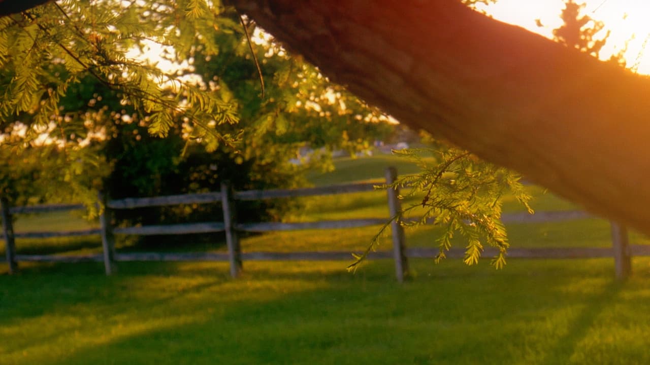 Backdrop – Milestone No. 2