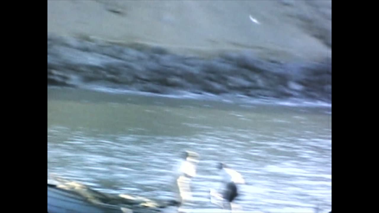 Backdrop – El Perú es un lugar para morir