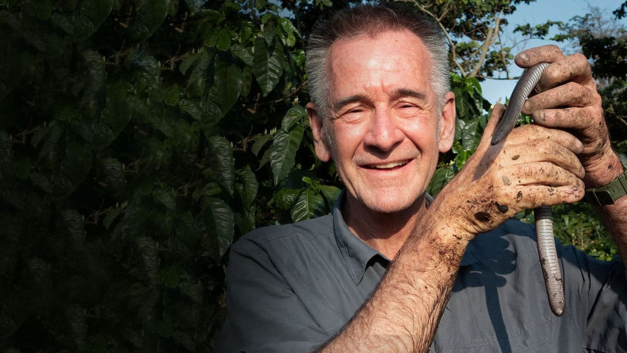 Backdrop – Wild El Salvador: In the Shadow of the Volcanoes