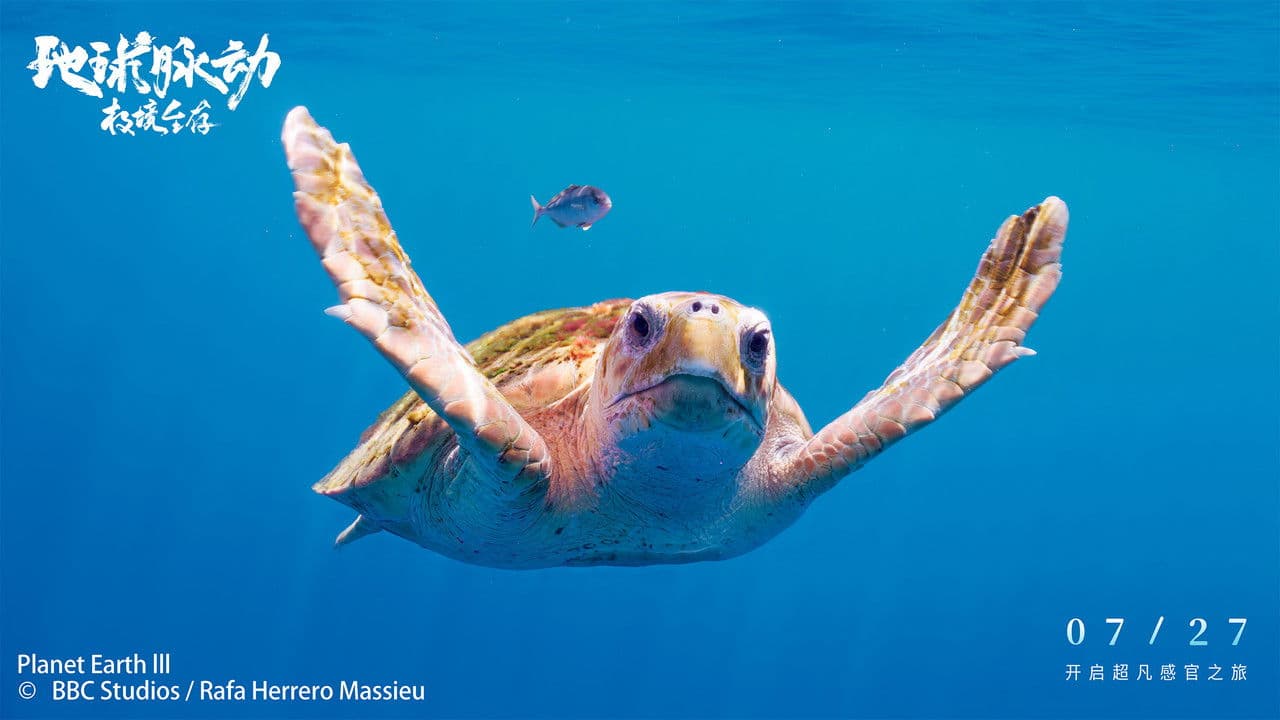 Backdrop – Planet Earth: Hostile Paradise or Perfect Hell?