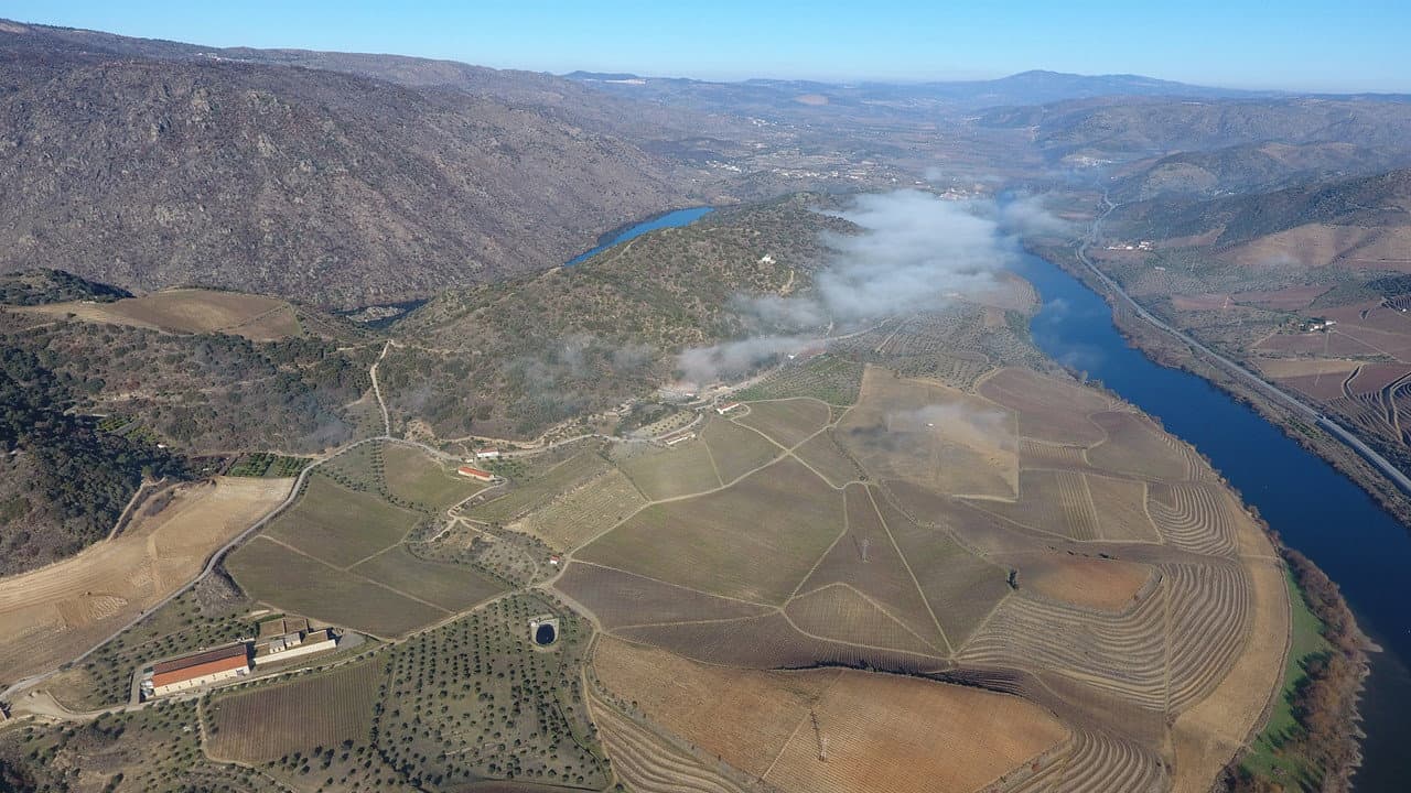 Backdrop – The Douro Boys: Winter Season