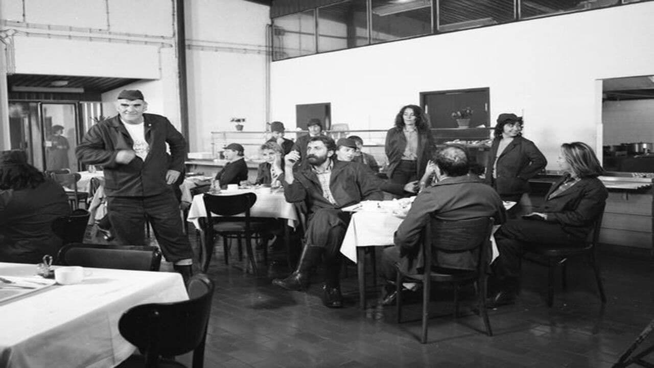 Backdrop – Jednog lepog dana