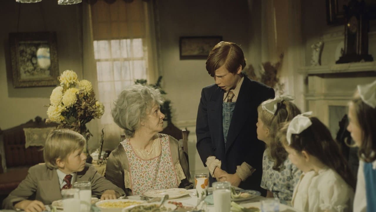 Backdrop – The Thanksgiving Visitor