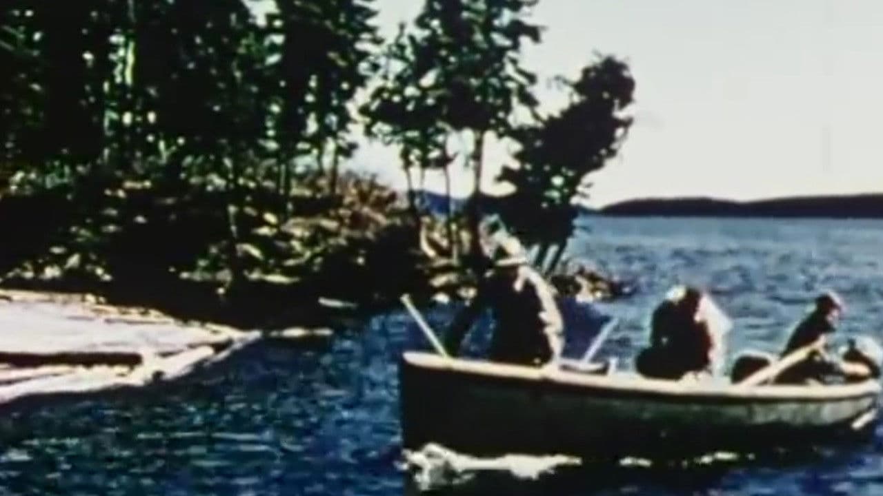 Backdrop – Waconichi