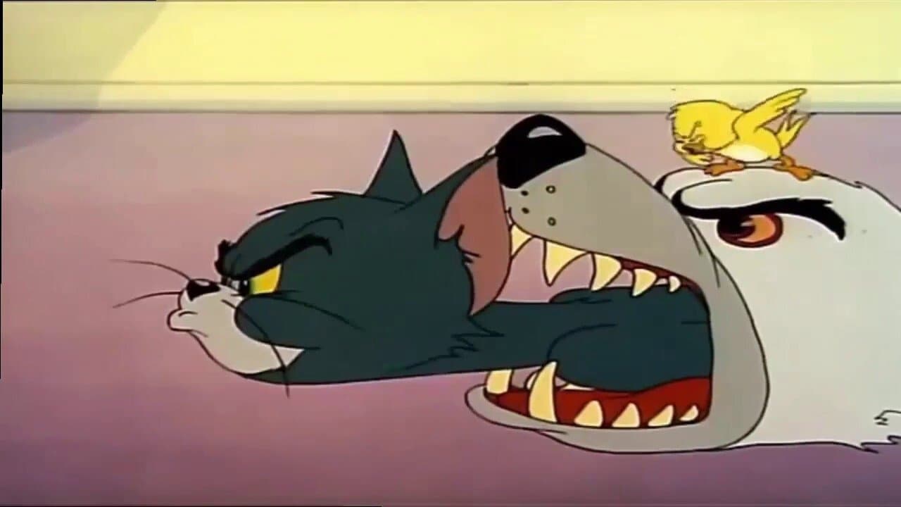 Backdrop – Zwei Kleine gegen Tom