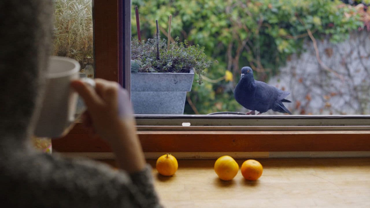 Backdrop – Meine wilden Nachbarn