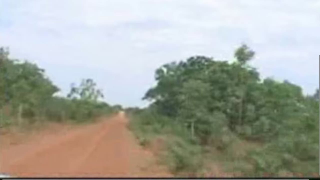 Backdrop – A Terra E O Tempo - Vozes Do Quilombo