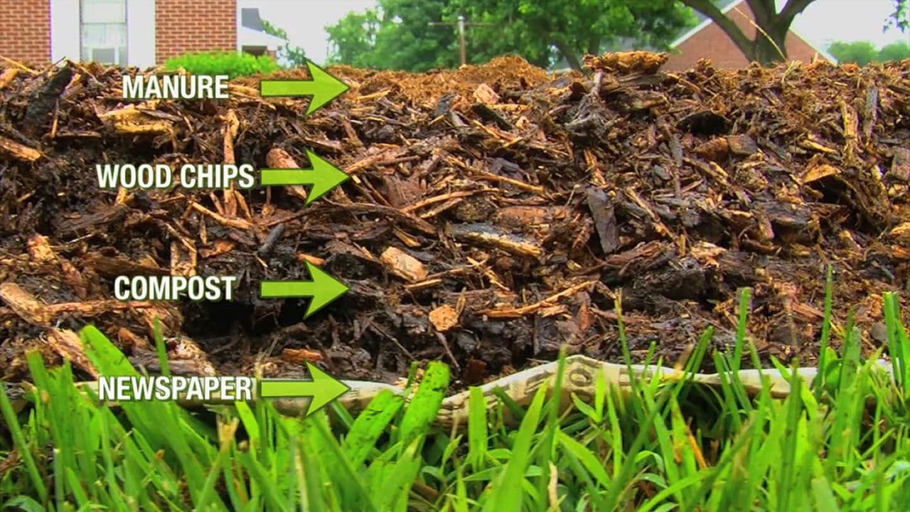 Backdrop – Back To Eden