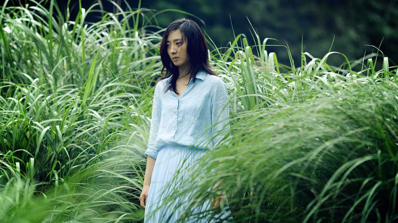 Backdrop – 德布西森林