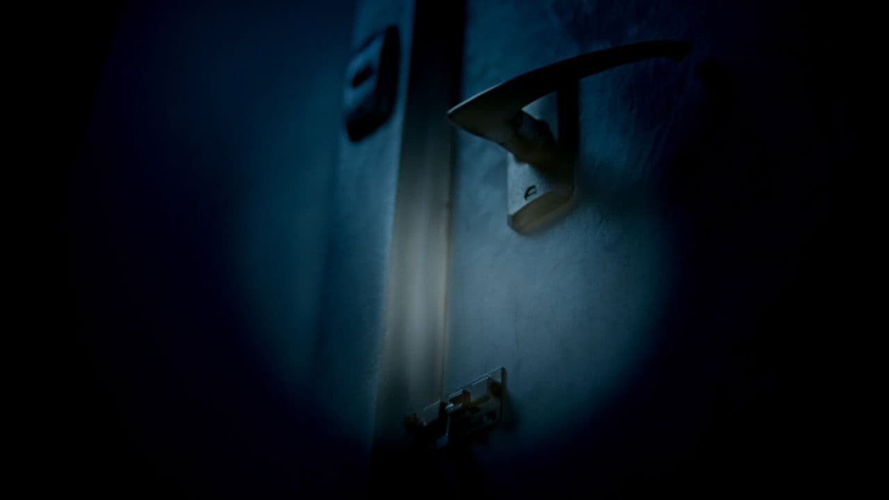 Backdrop – Finding Light