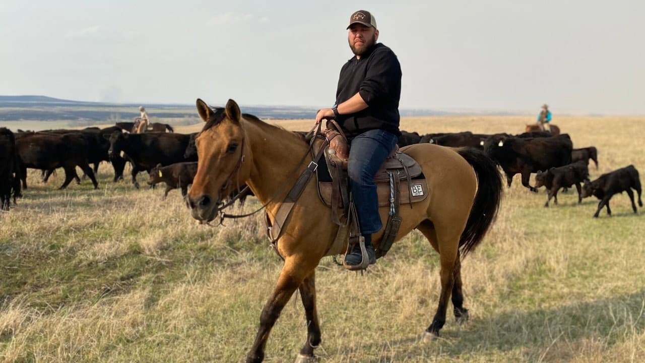 Backdrop – On les appelle cowboys