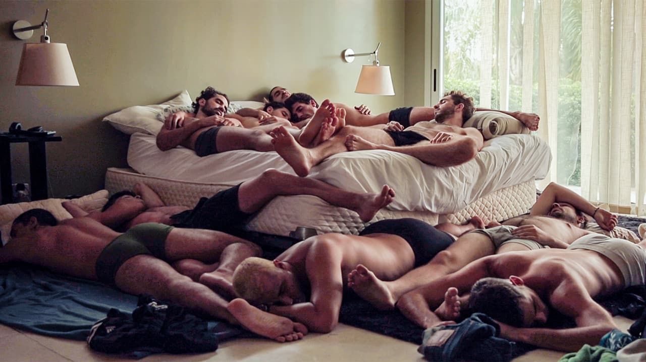 Backdrop – Horseplay