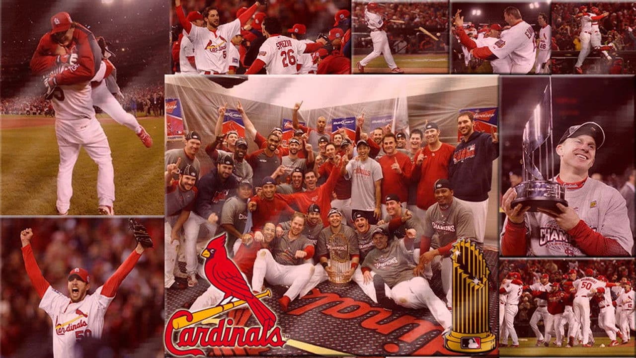 Backdrop – 2006 World Series:  St. Louis Cardinals