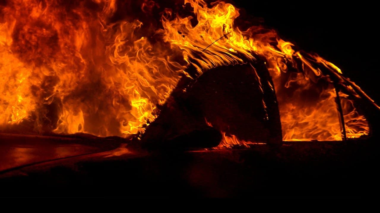 Backdrop – Fire in Paradise