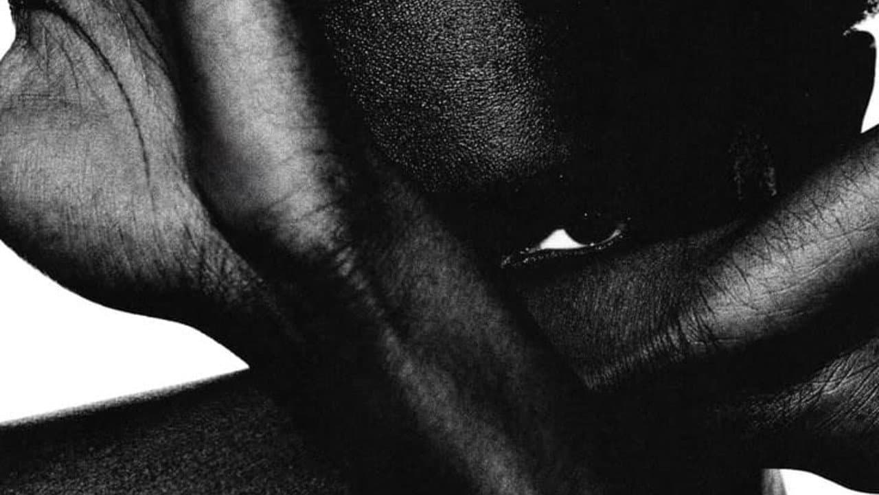 Backdrop – Narciso Escondido