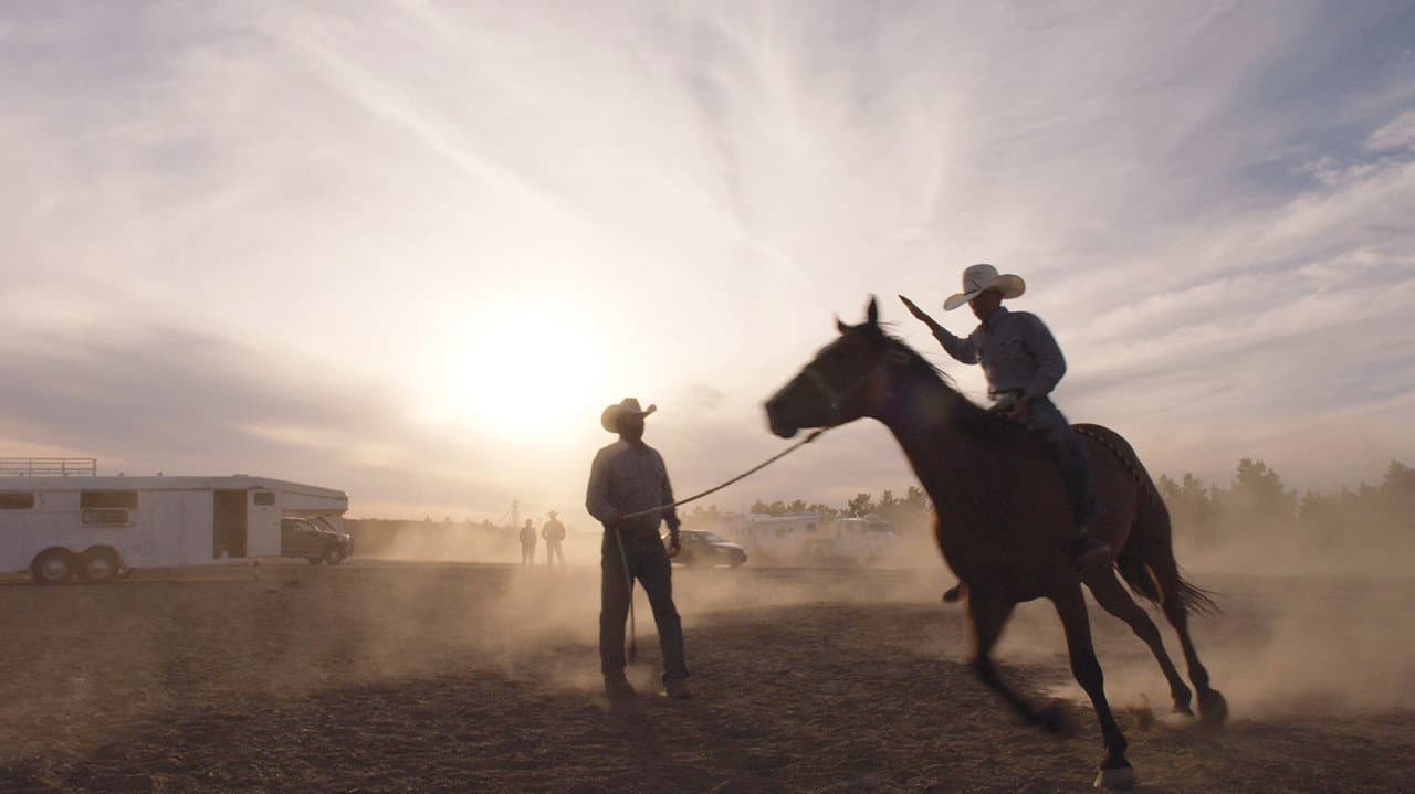 Backdrop – The Cowboy