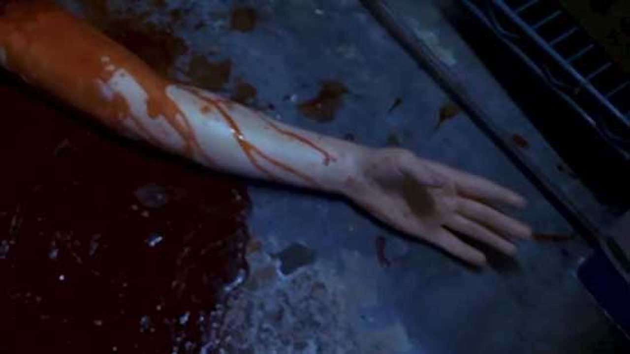 Backdrop – Human Hibachi