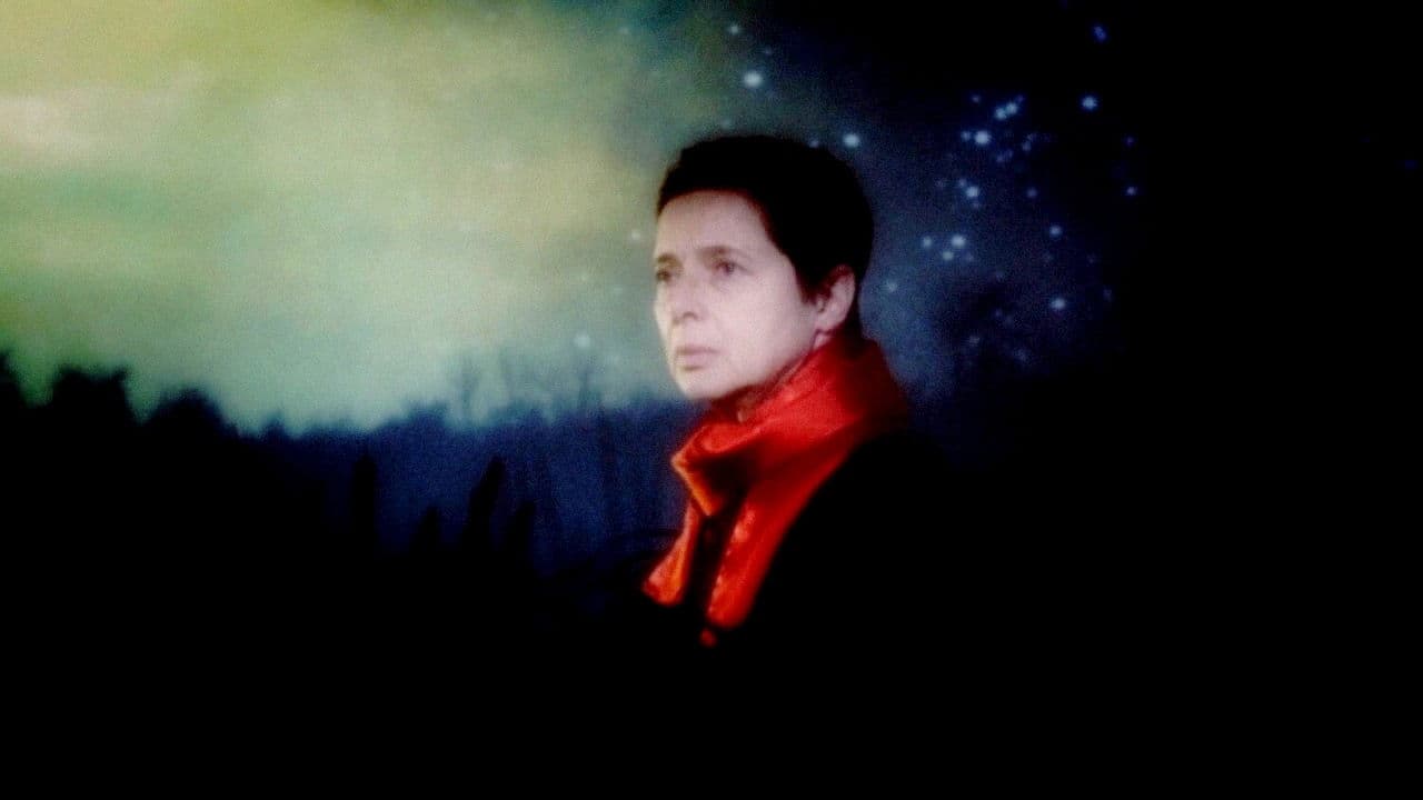 Backdrop – The Rabbit Hunters