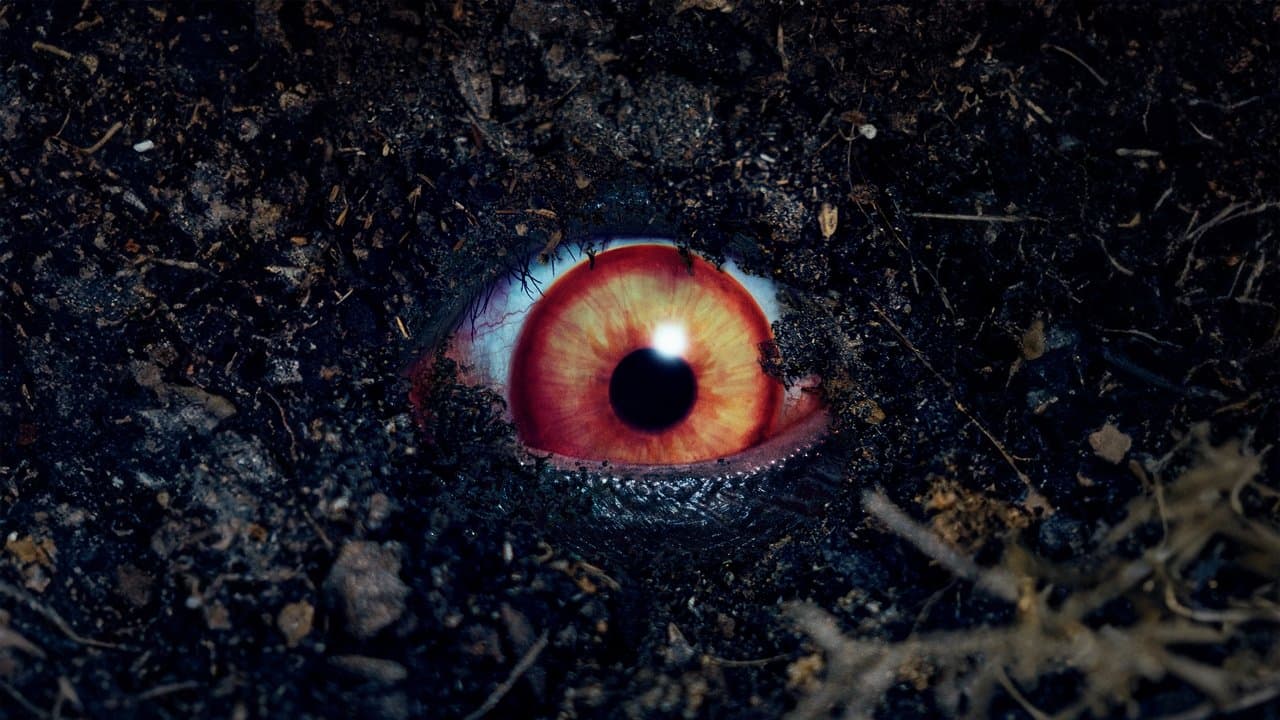 Backdrop – 禁じられた遊び