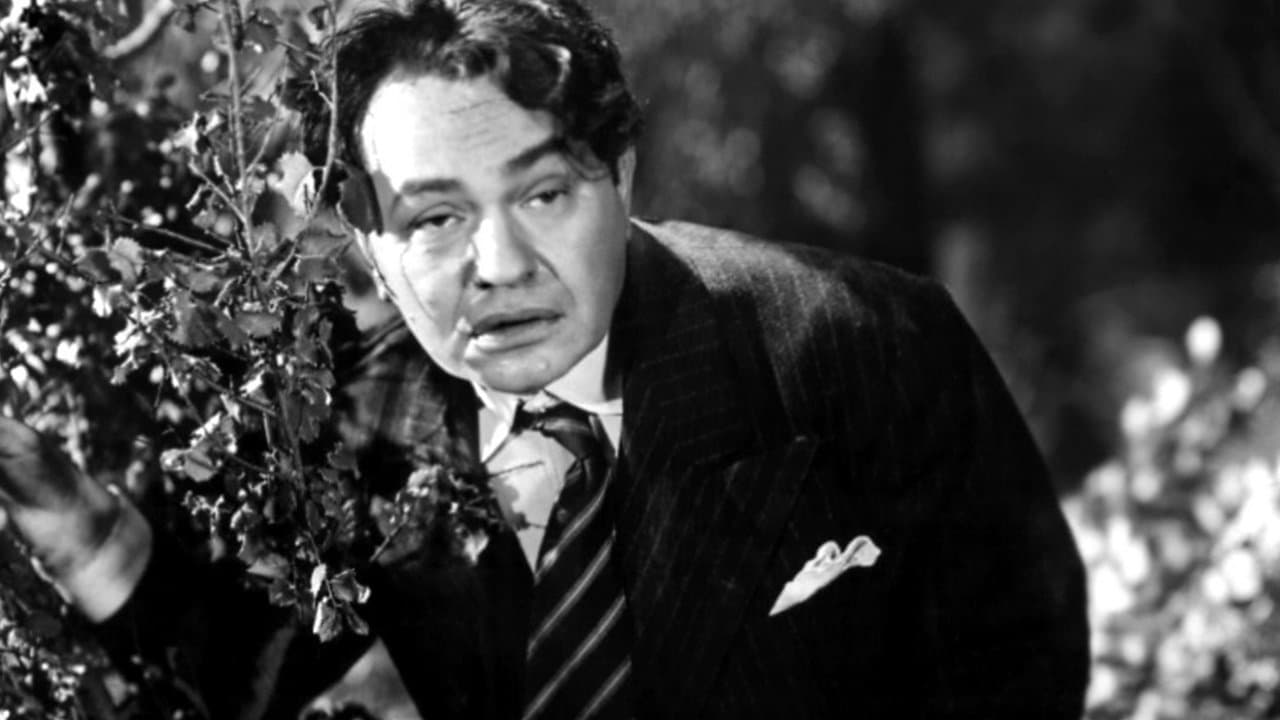 Backdrop – Orchid, der Gangsterbruder