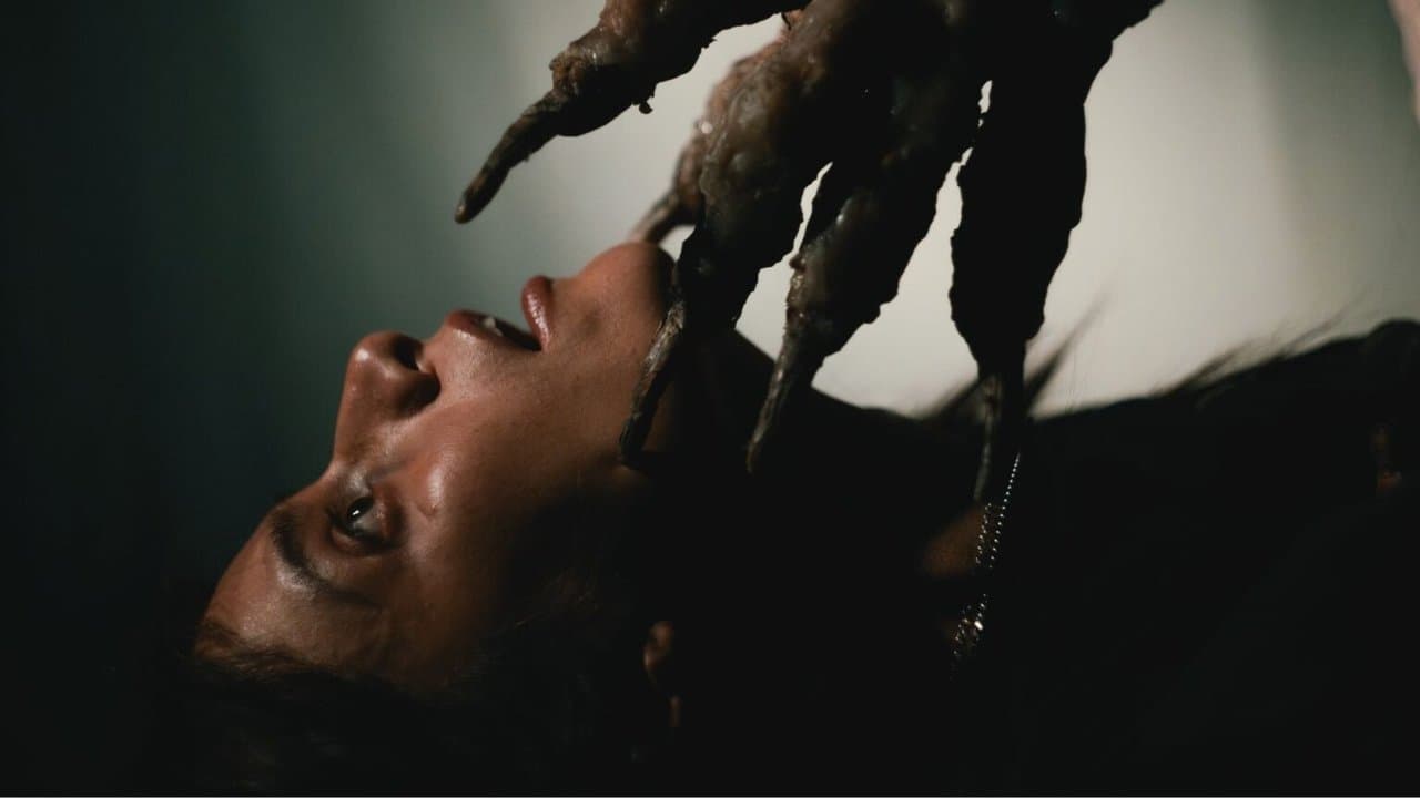 Backdrop – No Me Sigas