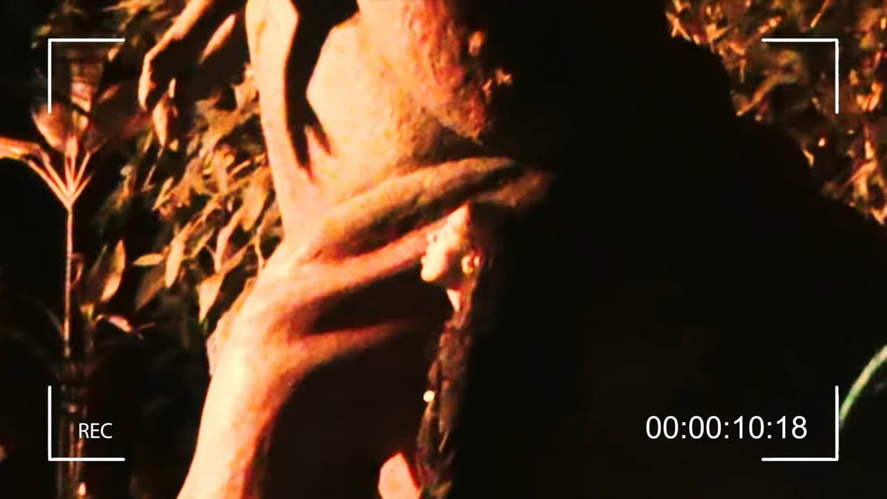 Backdrop – O Sol Sumiu