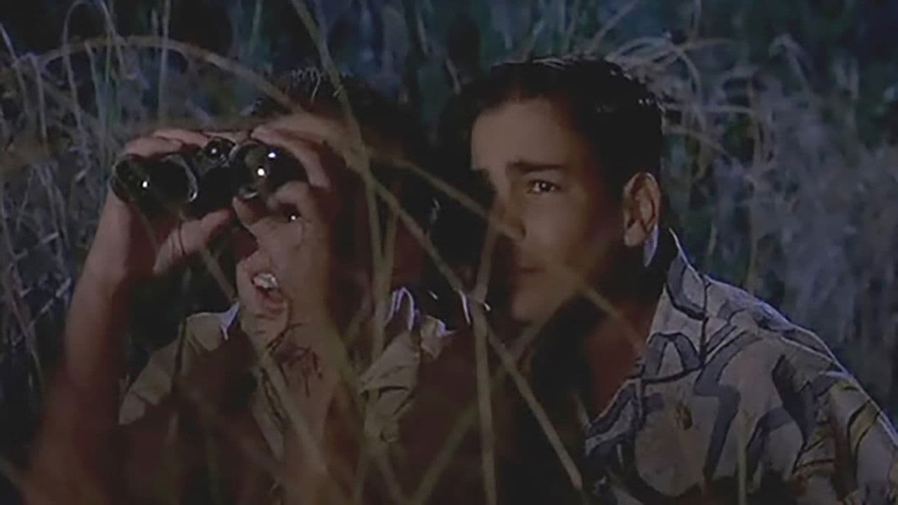 Backdrop – Just Looking