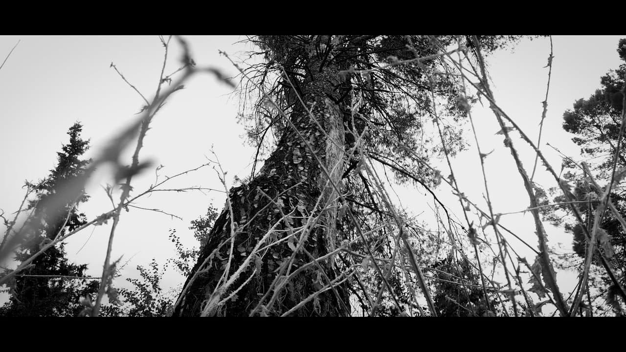 Backdrop – ESTRATOSIS