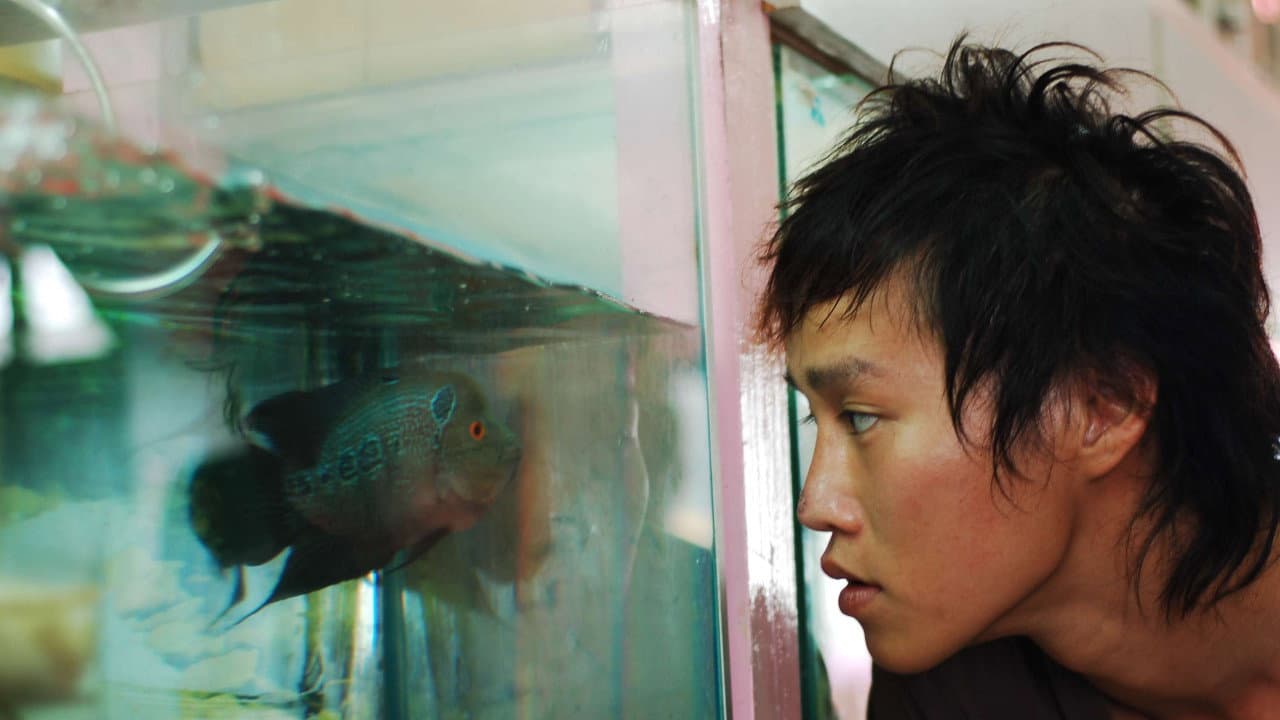 Backdrop – 大象与海