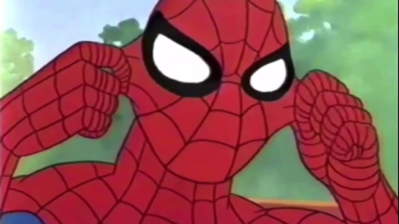 Backdrop – Spider-Man: Don't Hide Abuse