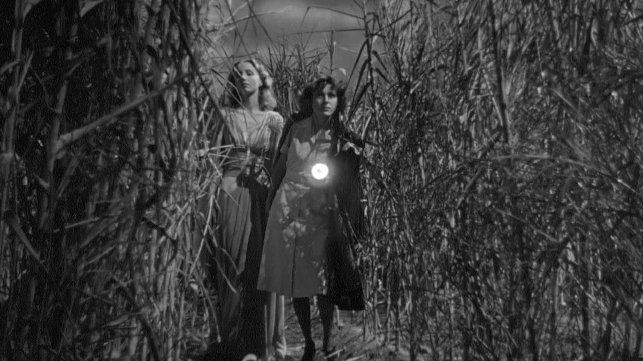 Backdrop – Ich folgte einem Zombie