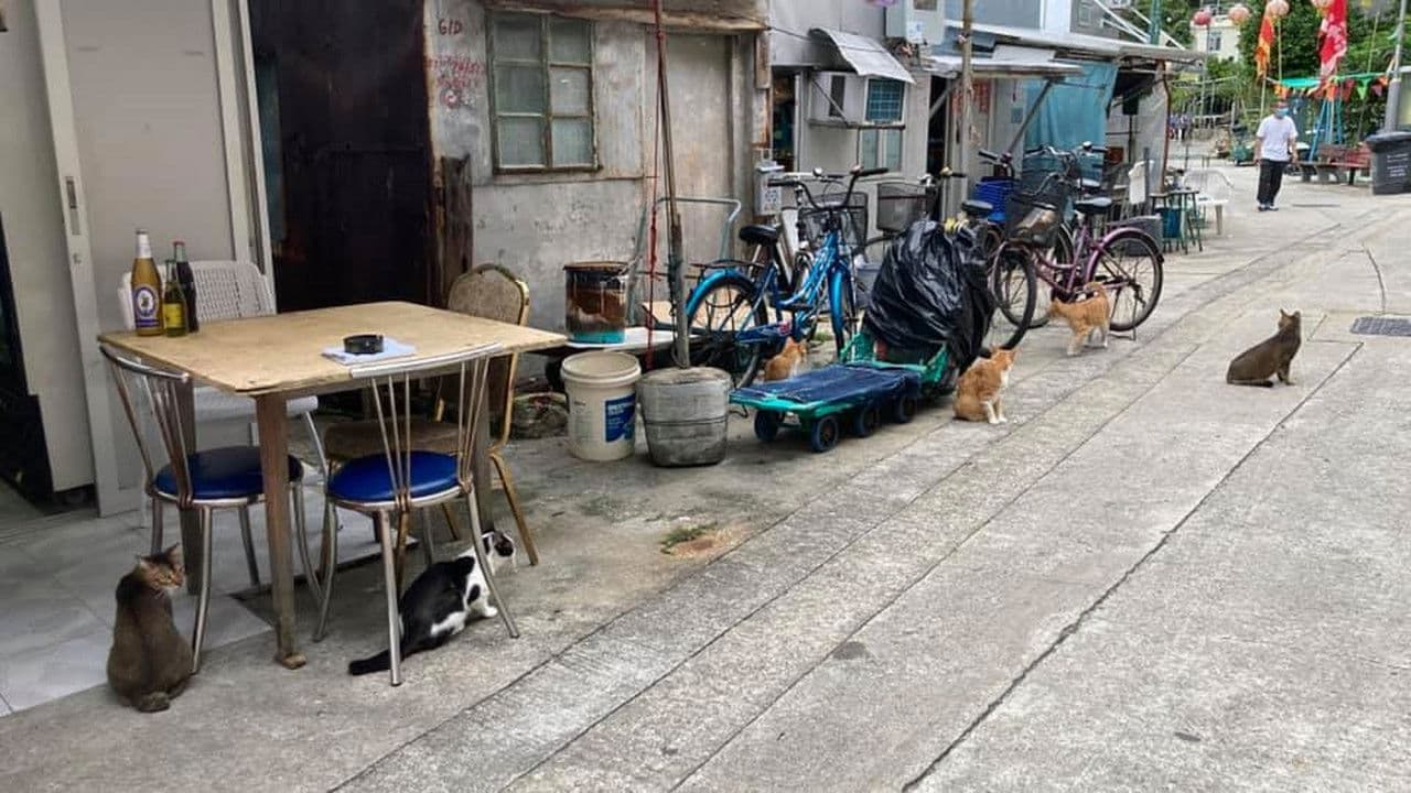 Backdrop – 和你寫一封情書