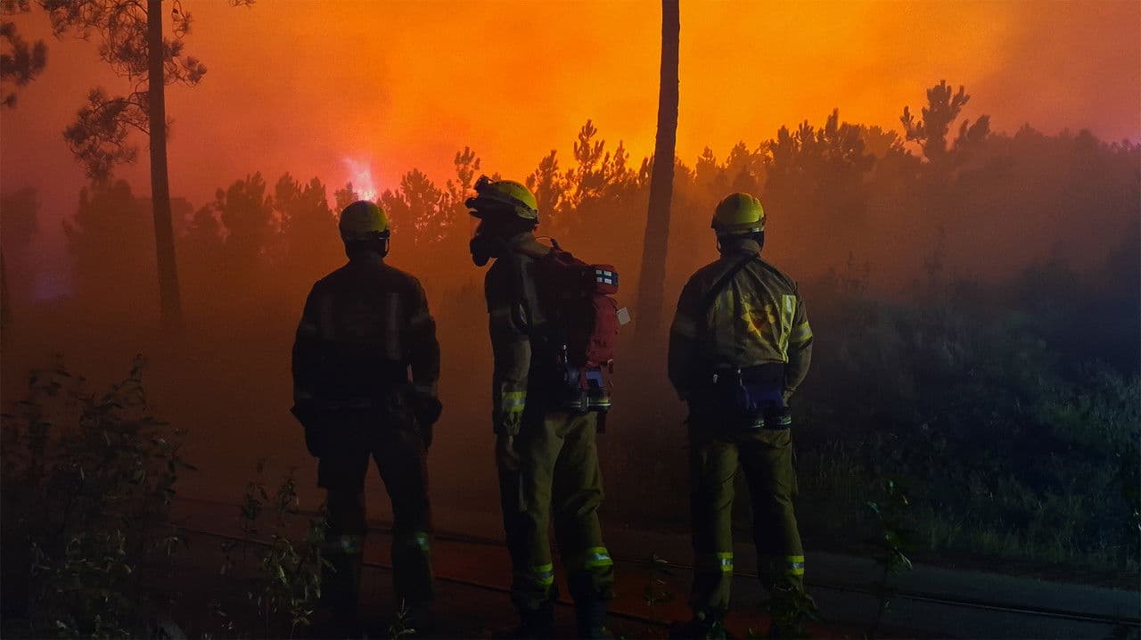 Backdrop – Palava maa