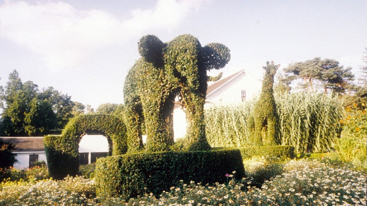 Backdrop – Fast, Cheap & Out of Control