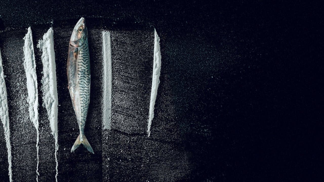 Backdrop – Weißes Meer: Die surreale Story von Rabo de Peixe